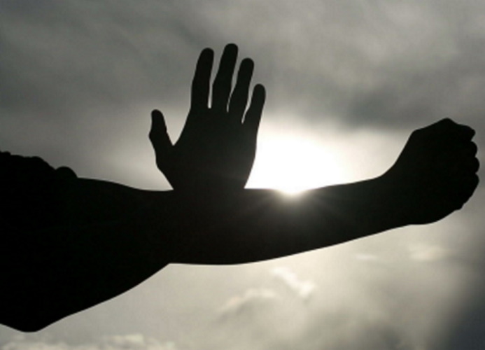 WingChunstance.image